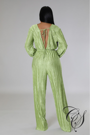 Emmerie Pleated Flared Leg Jumpsuit