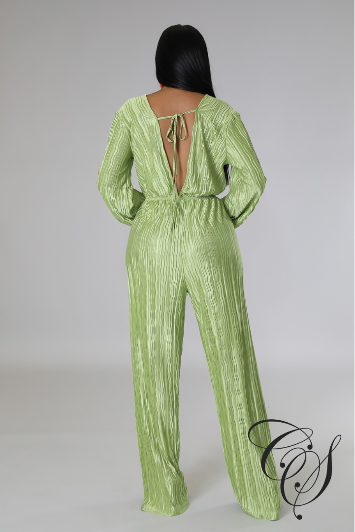 Emmerie Pleated Flared Leg Jumpsuit