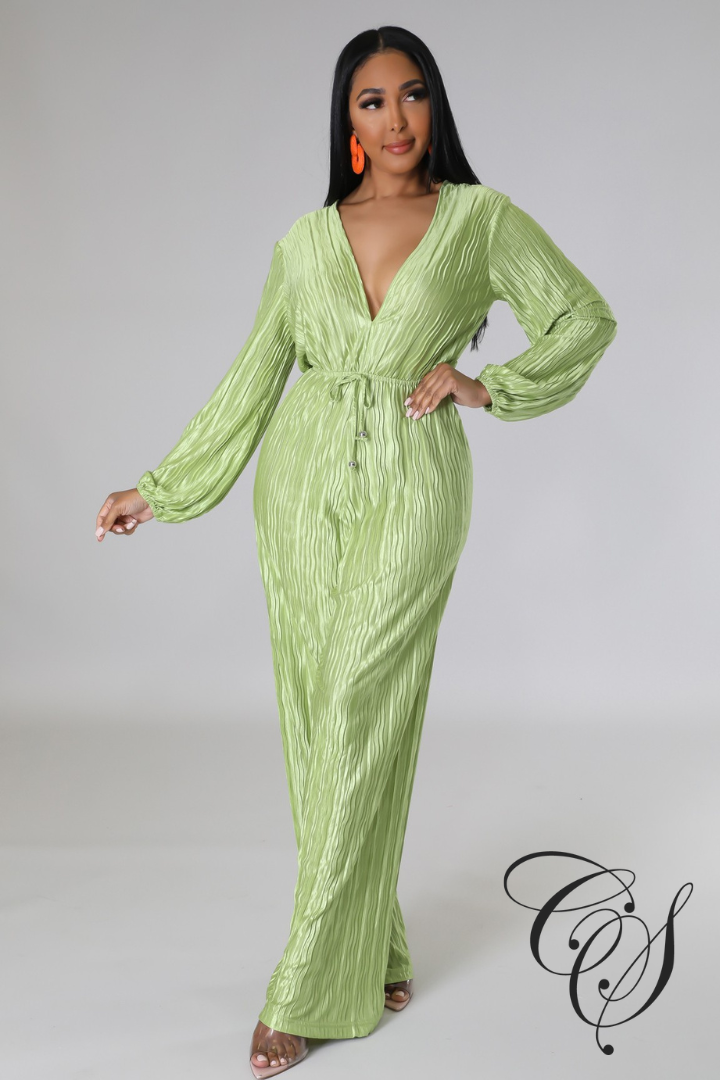 Emmerie Pleated Flared Leg Jumpsuit