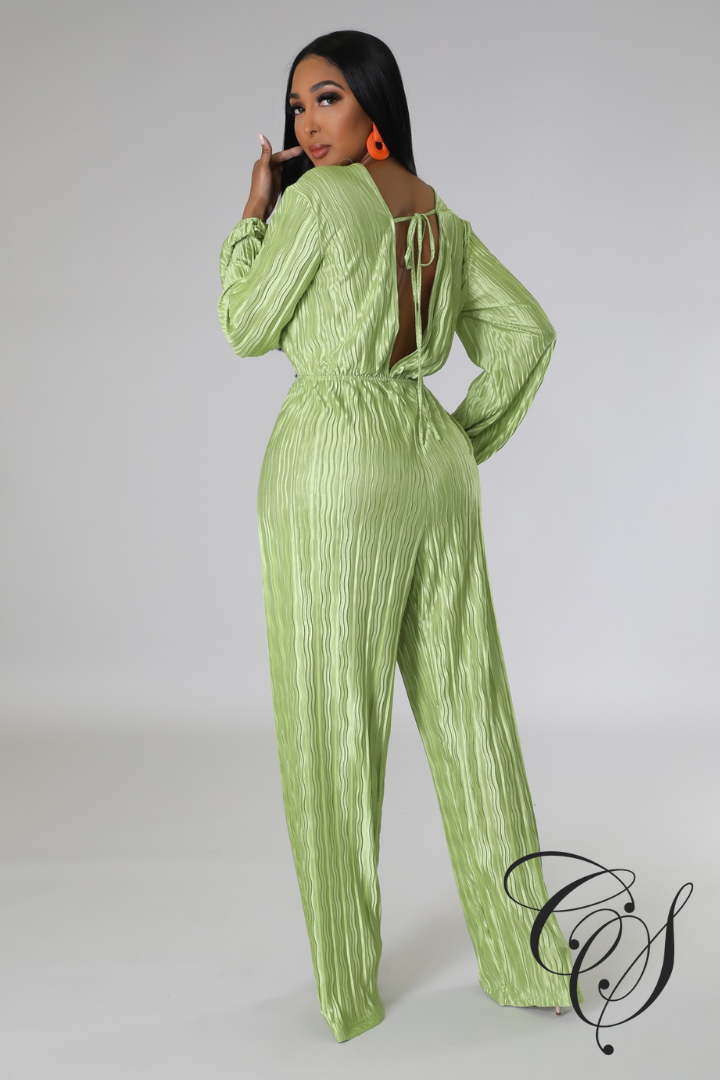 Emmerie Pleated Flared Leg Jumpsuit