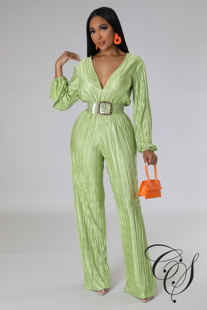 Emmerie Pleated Flared Leg Jumpsuit