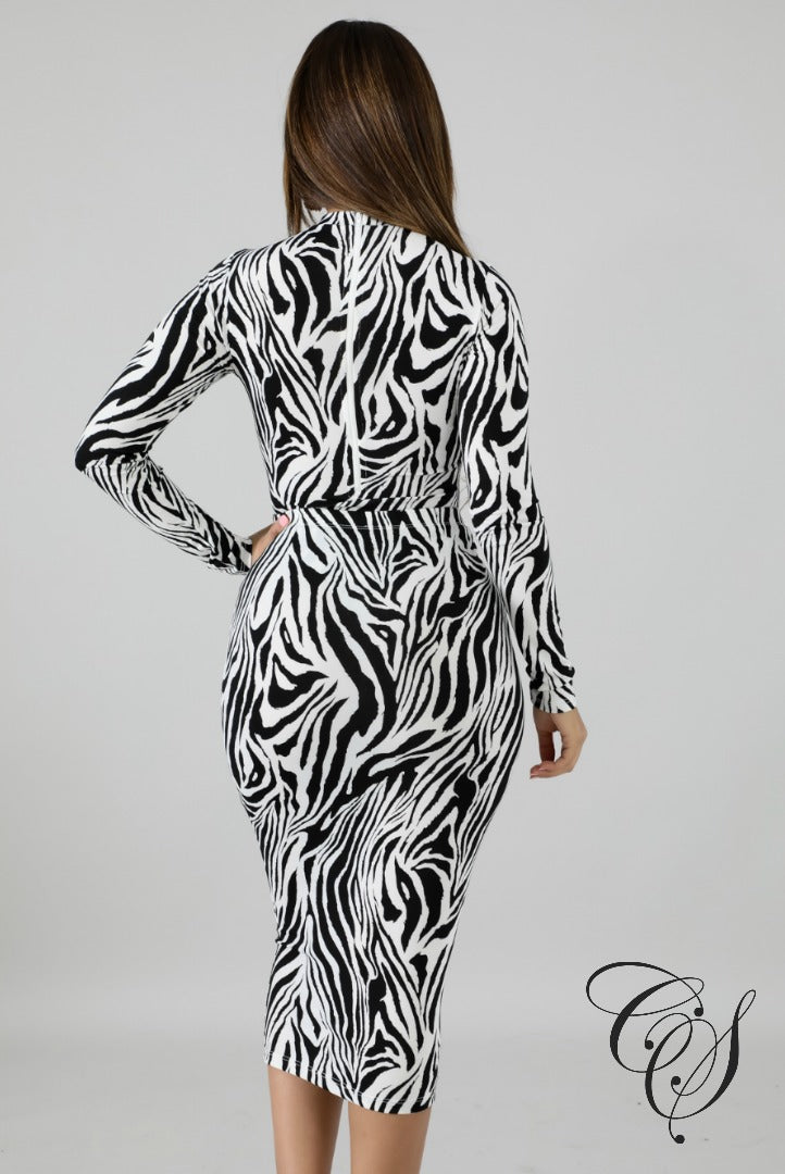 Felicity Zebra Bodysuit Set, Set - Designs By Cece Symoné