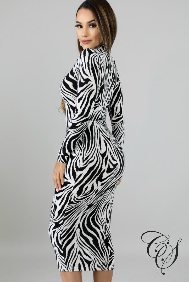 Felicity Zebra Bodysuit Set, Set - Designs By Cece Symoné