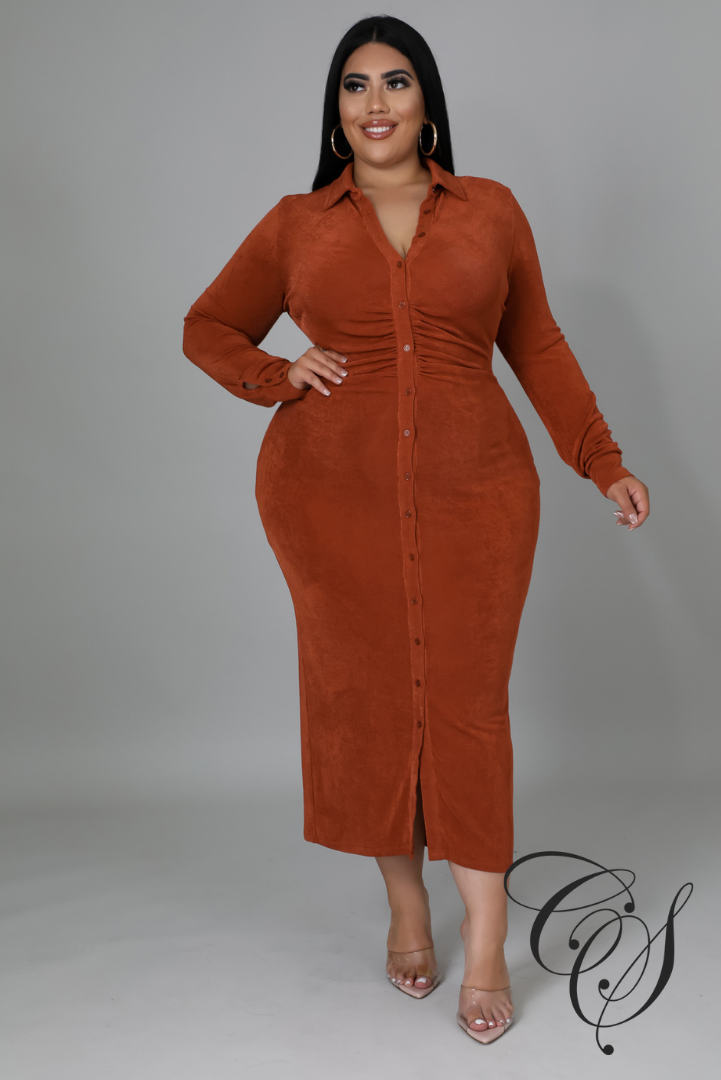 Jericka Button Down Midi Shirt Dress