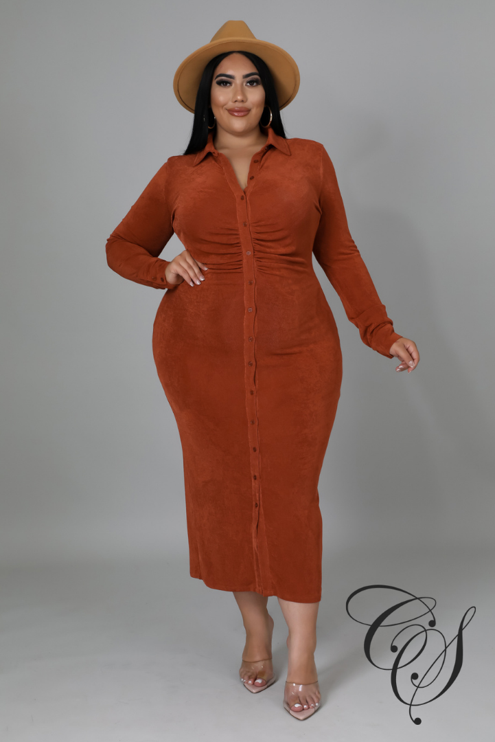 Jericka Button Down Midi Shirt Dress