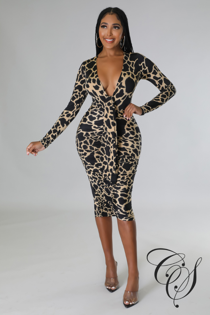 Kalinda Animal Print Bodycon Dress