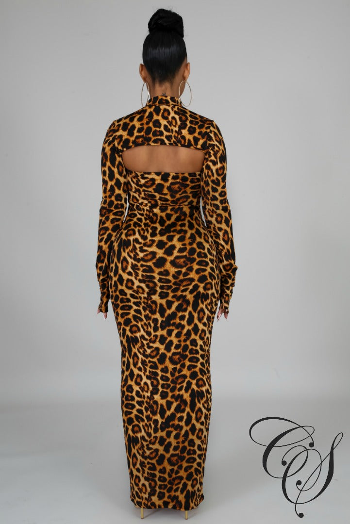 Livia Wild Tube Dress Set, Dresses - Designs By Cece Symoné