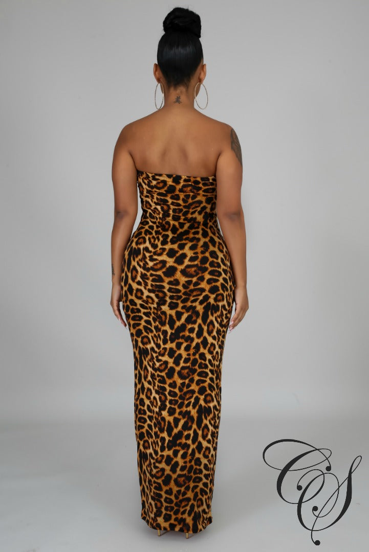 Livia Wild Tube Dress Set, Dresses - Designs By Cece Symoné