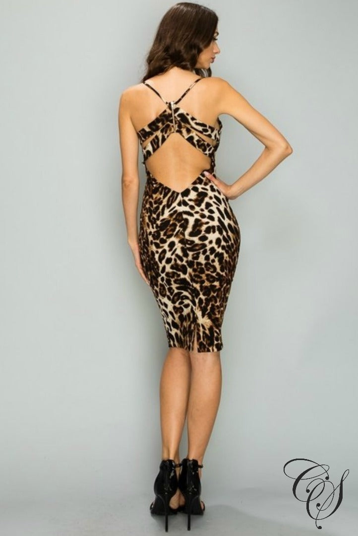 Lizbeth Back Connection With Zipper Surplice Bodycon Dress, Dresses - Designs By Cece Symoné