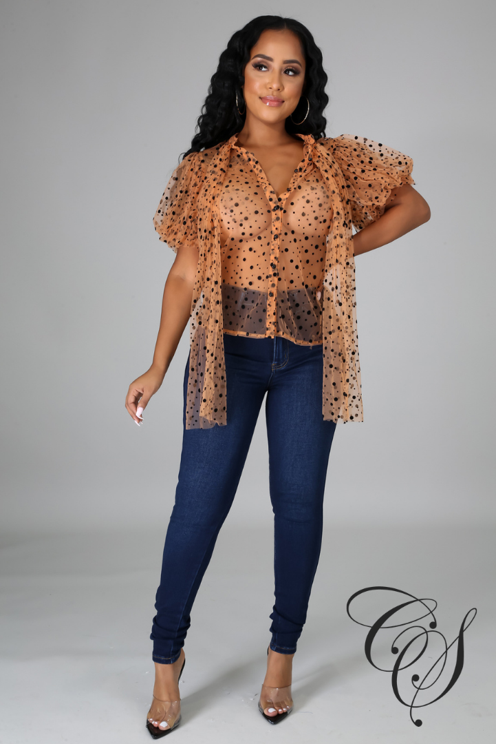 Lynn Mesh Dot Print Button Blouse