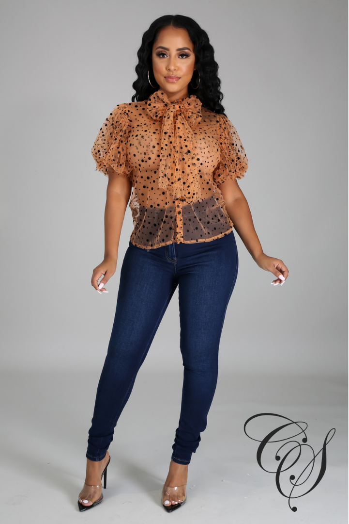 Lynn Mesh Dot Print Button Blouse