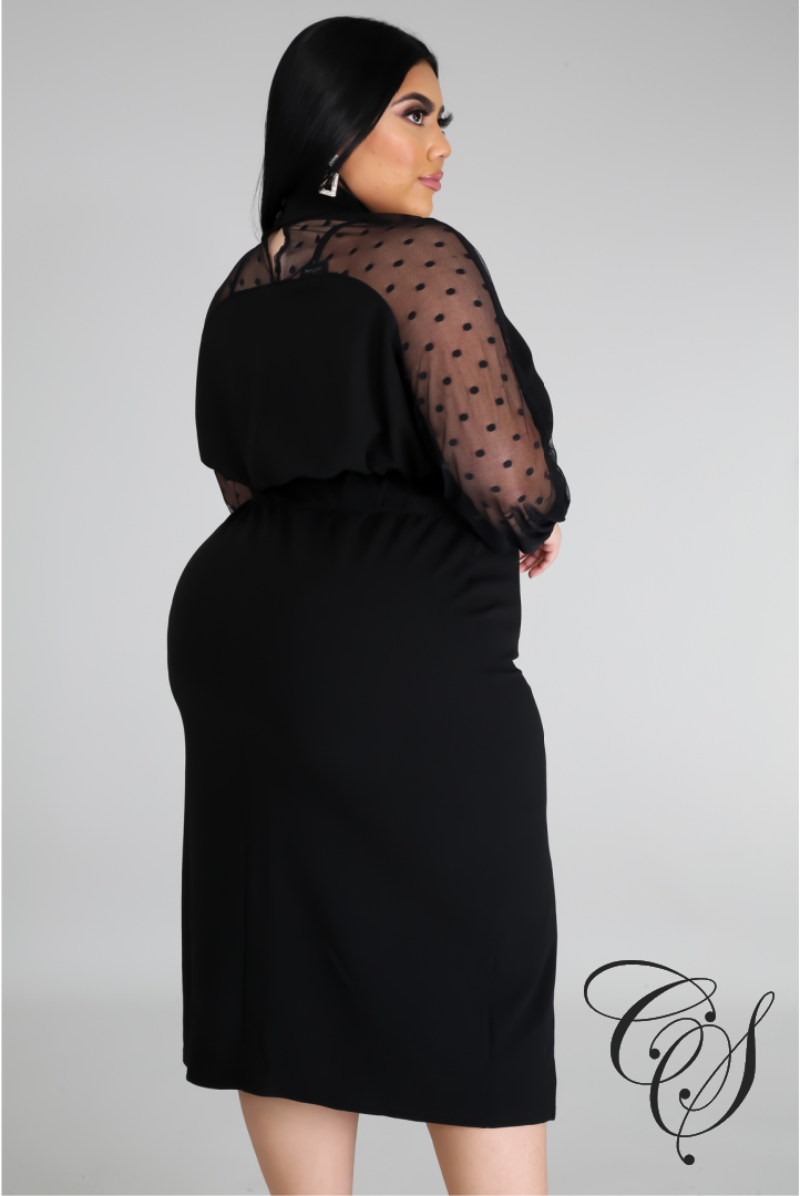 Marsha Black Mesh Dress