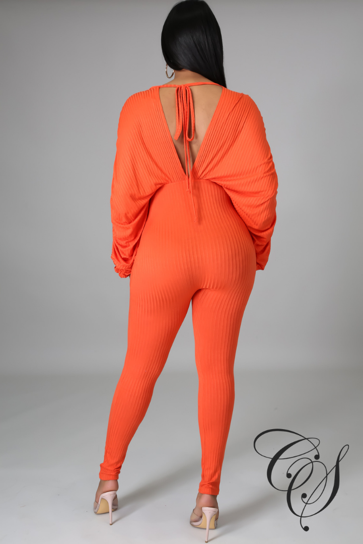 Patrice Deep V-Neck Jumpsuit