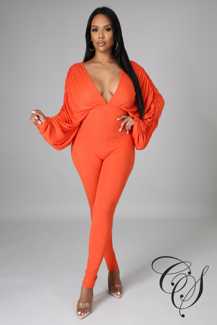 Patrice Deep V-Neck Jumpsuit
