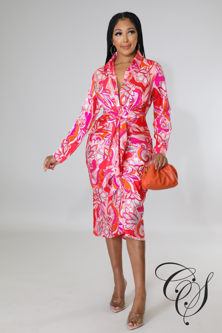 Phoebe Paisley Print Satin Dress