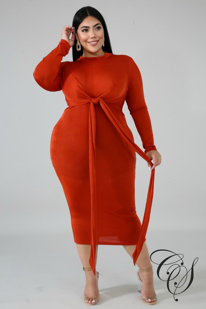 Sadie Hugs Midi Dress, Dresses - Designs By Cece Symoné