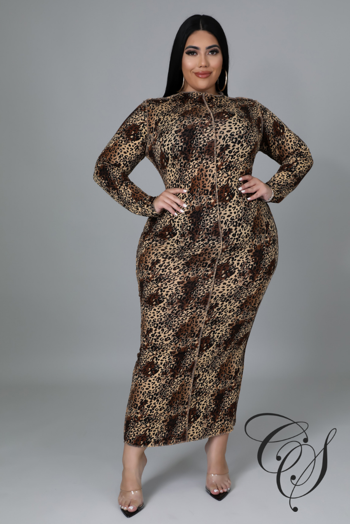Stephanie Leopard Print Long Sleeve Midaxi Dress