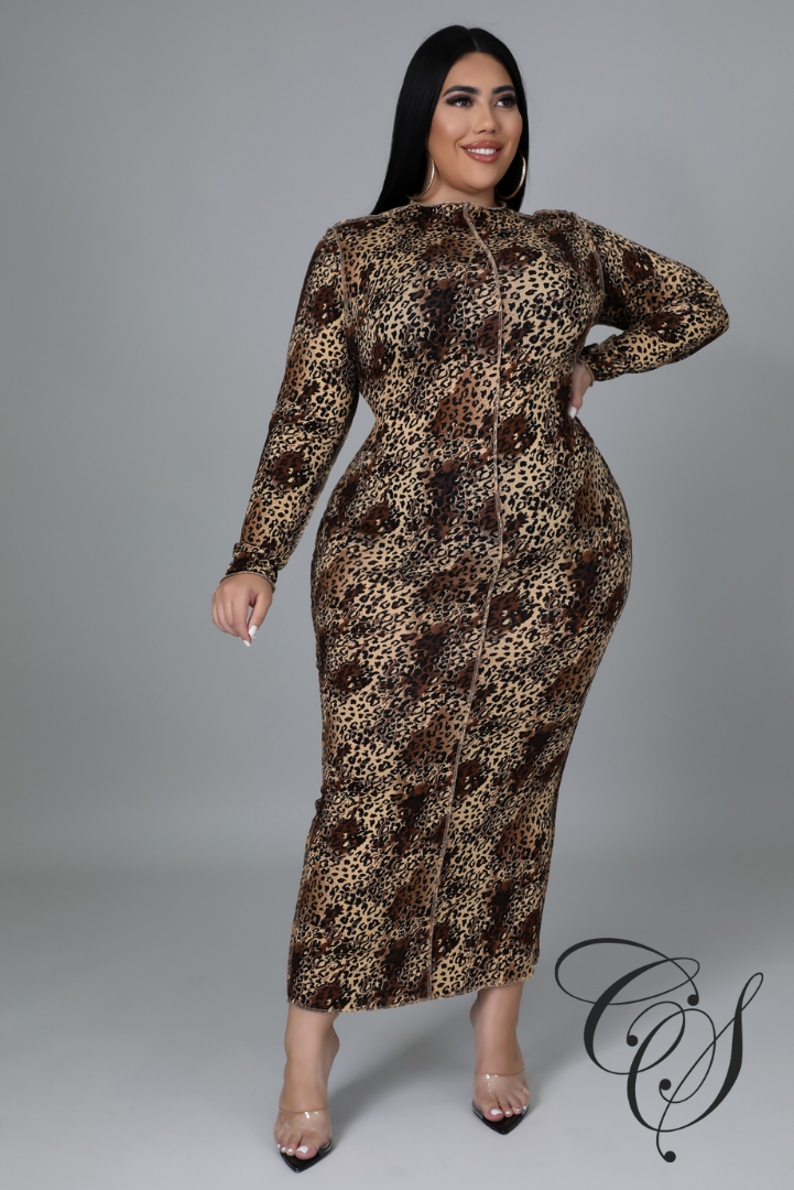 Stephanie Leopard Print Long Sleeve Midaxi Dress
