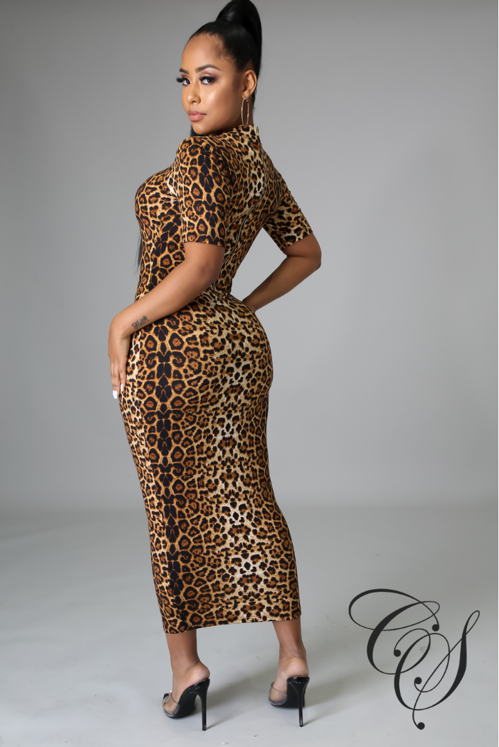 Jayde Mock Neck Leopard Dress