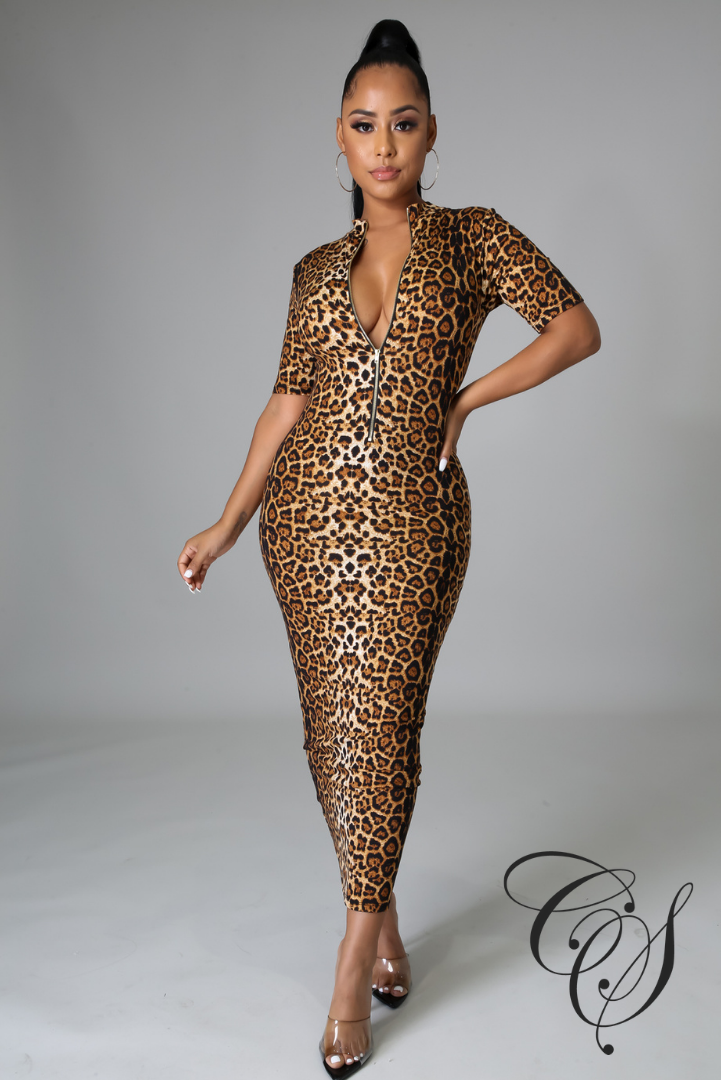Jayde Mock Neck Leopard Dress