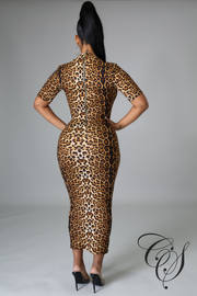 Jayde Mock Neck Leopard Dress