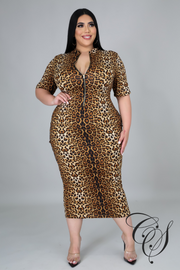 Jayde Mock Neck Leopard Dress