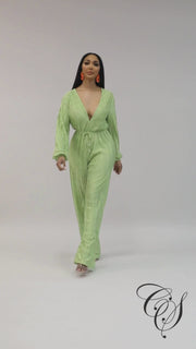 Emmerie Pleated Flared Leg Jumpsuit