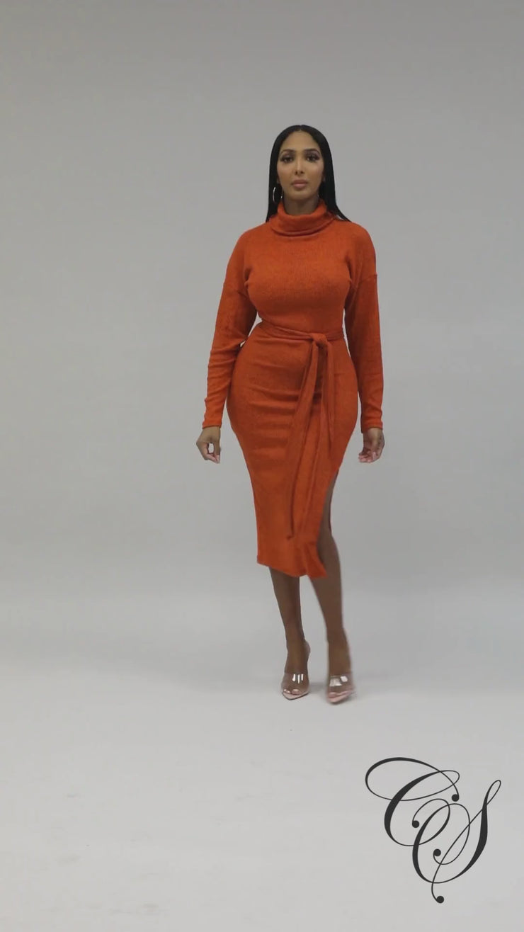 Cantrice Turtle Neck Split Knit Midi Dress